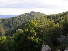 P7260048
