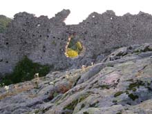 P7260086