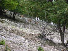 P7270113