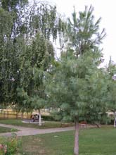 P7270144