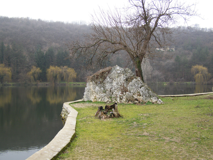 P2040181