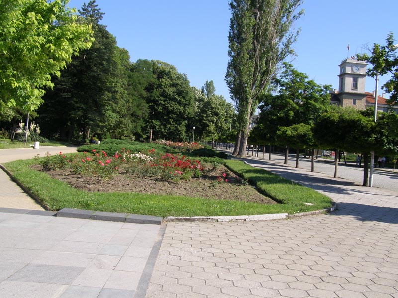 P6090823