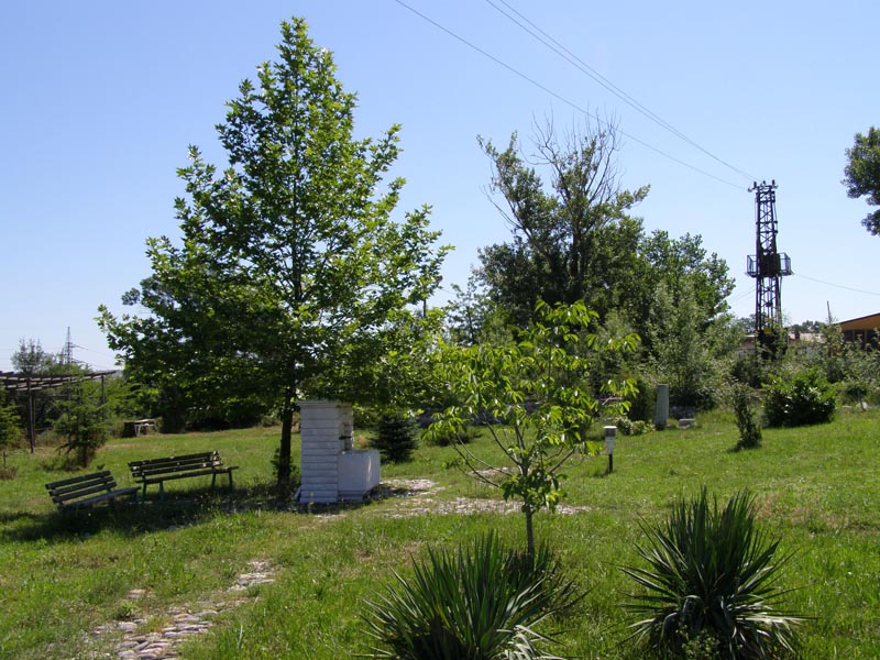 P6090851