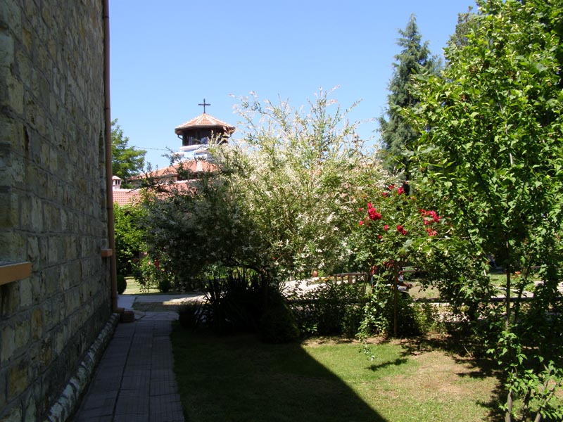 P6090869