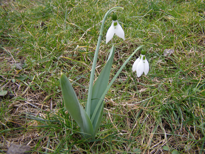 P2150204
