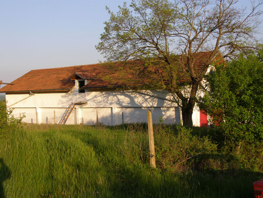 P5140519