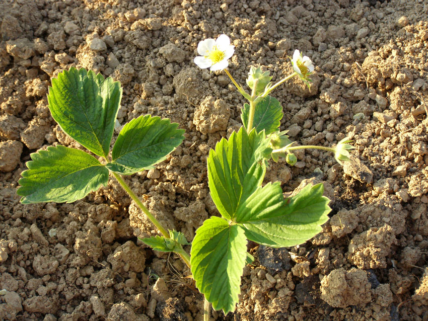 P5140522