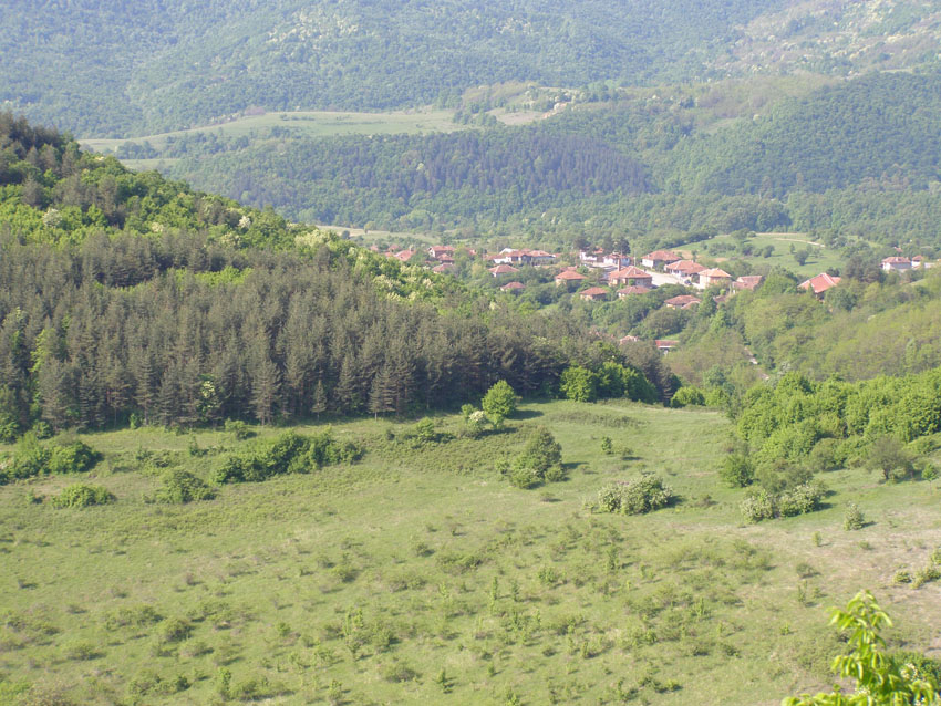 P5150539