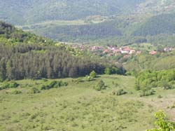 P5150539