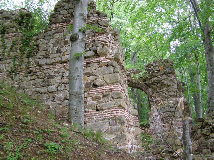 P5231292