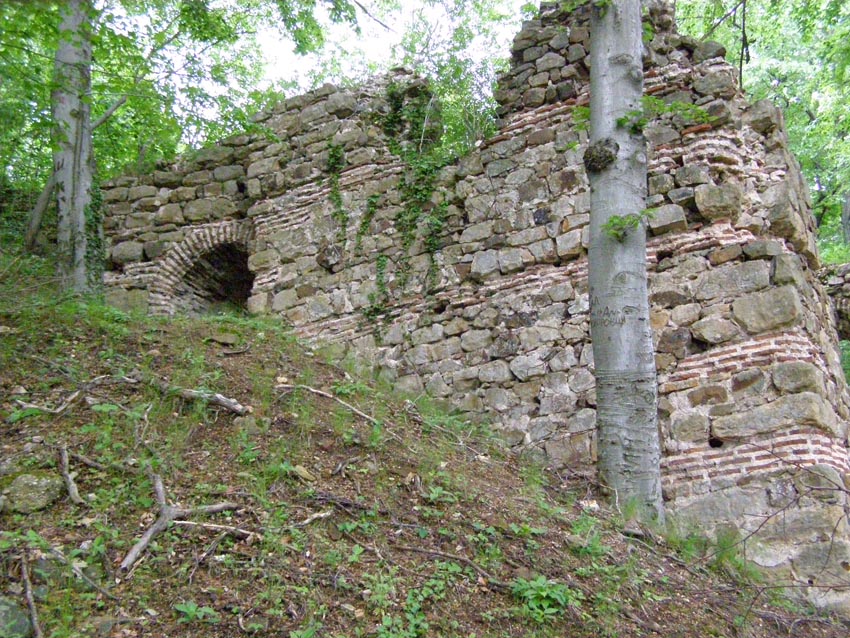 P5231293