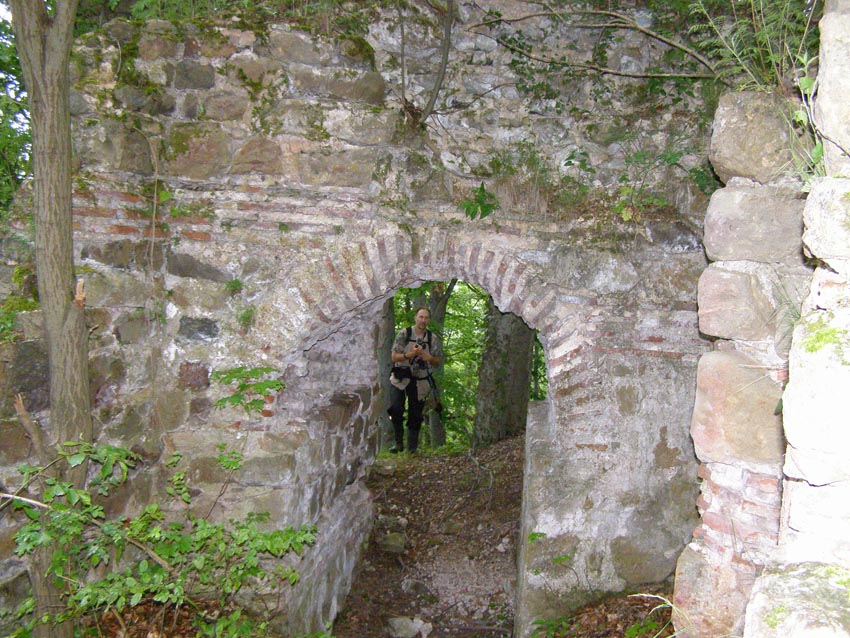 P5231294