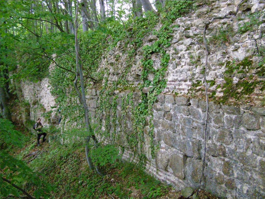 P5231296