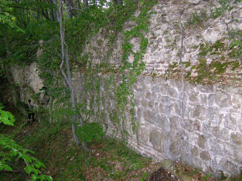 P5231297