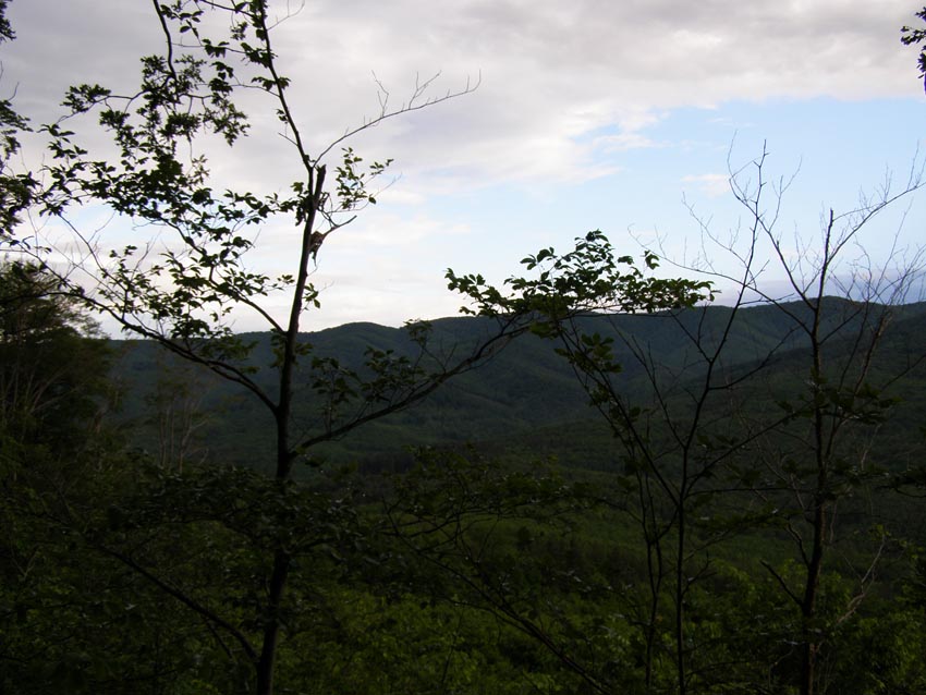P5231298