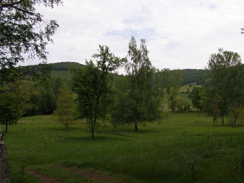P5241303