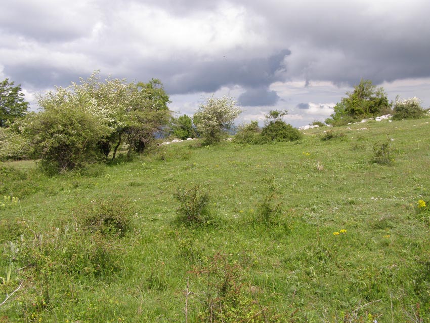 P5241305