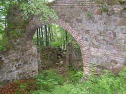 P5231295