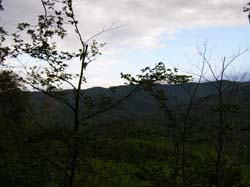 P5231298