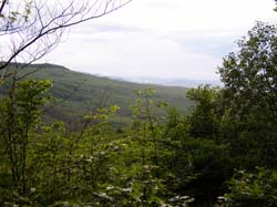 P5231299