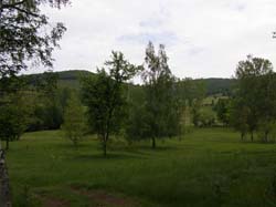P5241303