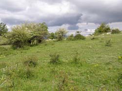 P5241305