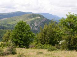 P5241307