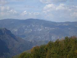 IMG_2443