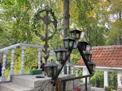 IMG_2462