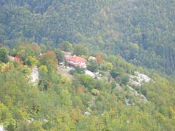 IMG_2471