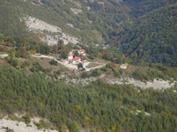 IMG_2484