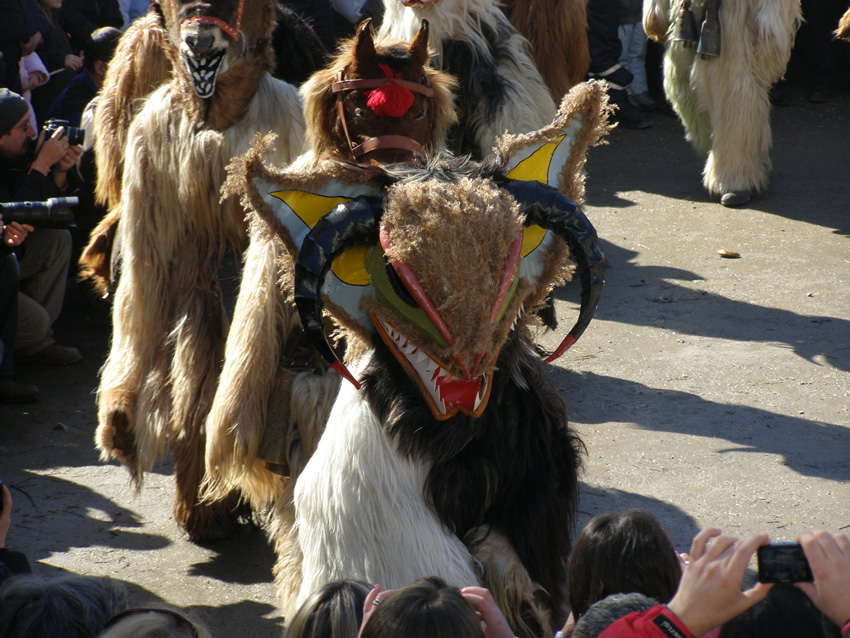 P3010316