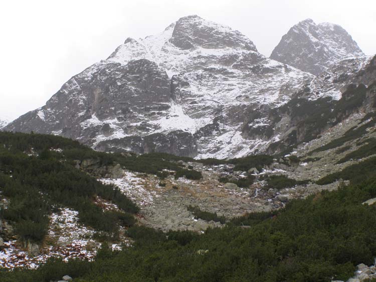 PA270079