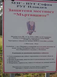 P5220567