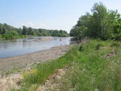 P5220594
