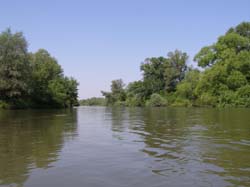 P5220596