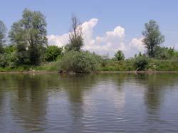P5220606