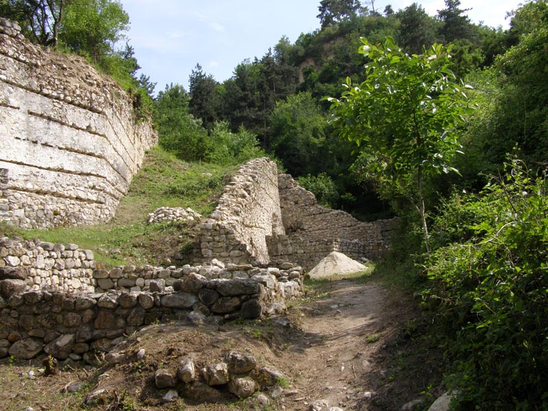 P6160939