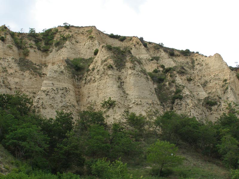 P6161008