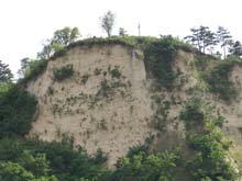 P6160992