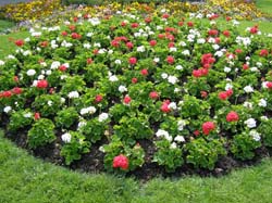 ���� ������� ������ 02.05.2011 