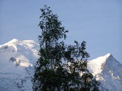 ���� ������ ������, ������� ���� ����� ��� ��������� ���� 25.04.2011 