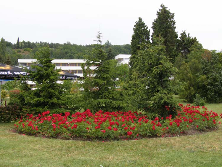 P6080340