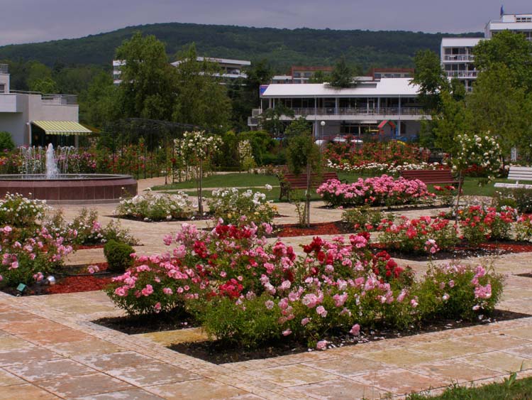 P6080341