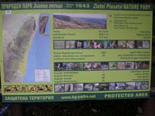 P6080345