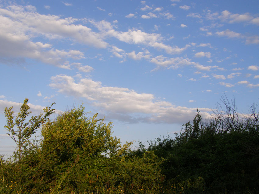 P6120891