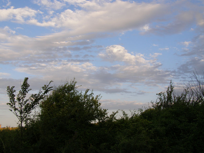 P6120898