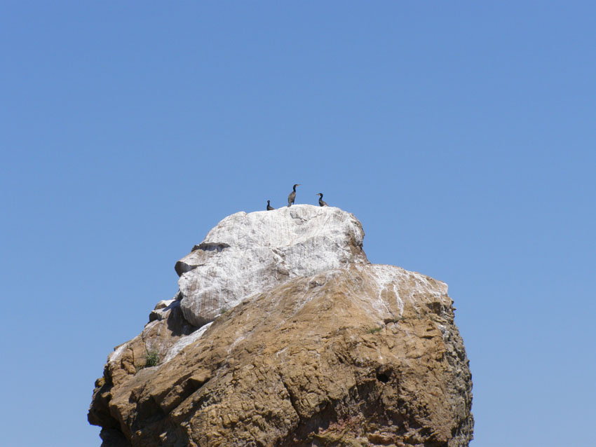 P6140921