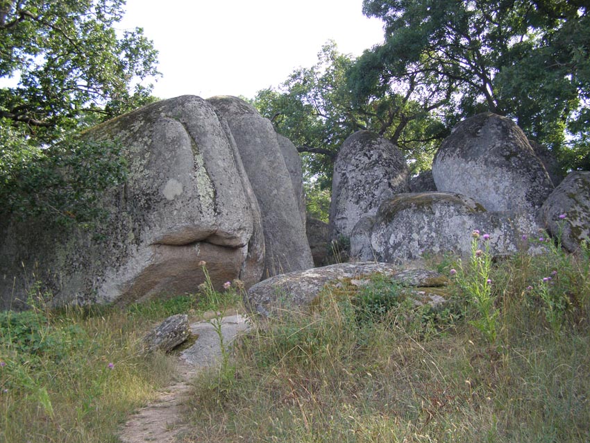 P6280138