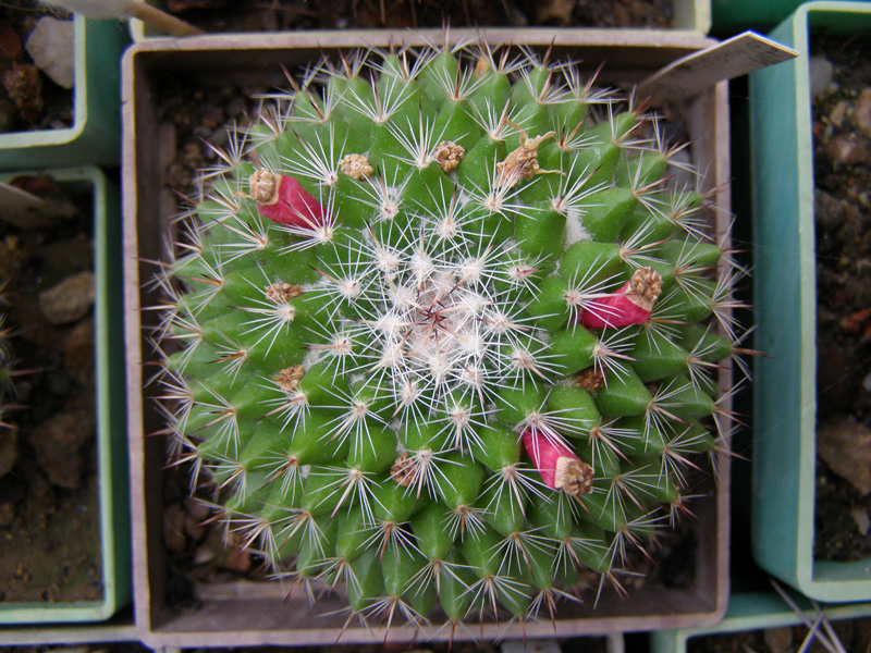 P8110225